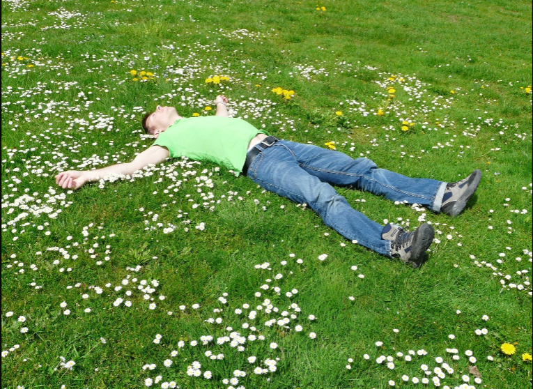 summer lawn care