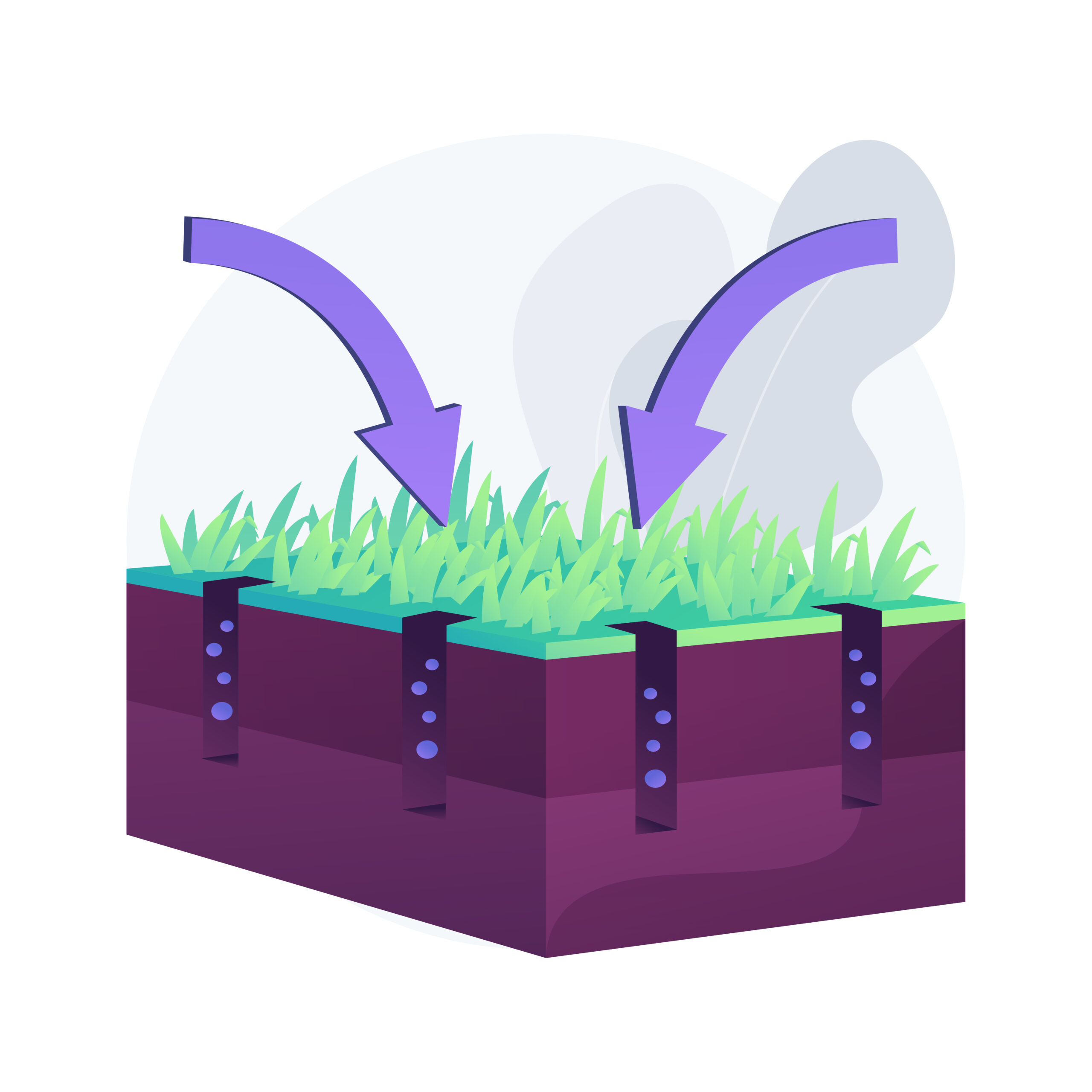 lawn care in Cornelius