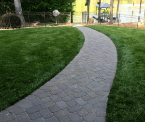 charlotte lawn care