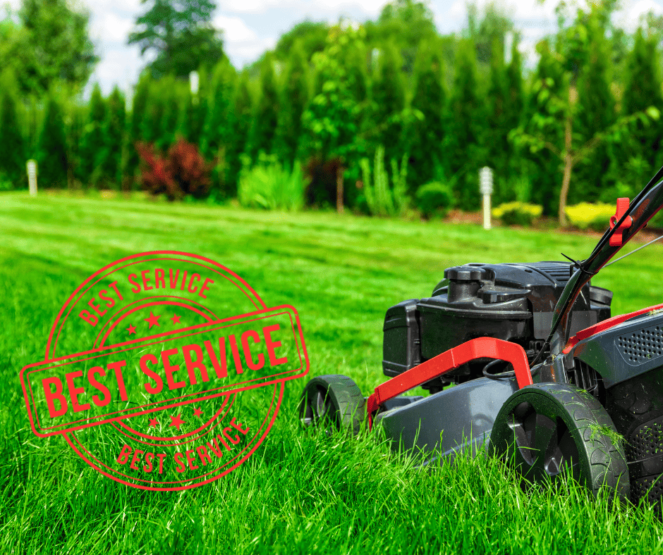 charlotte lawn care