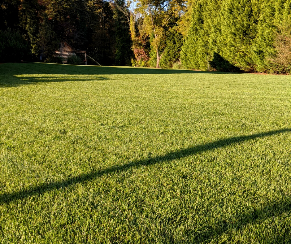lawn care charlotte nc