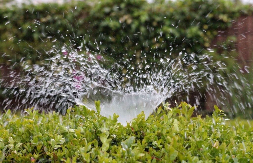 optimal watering by season