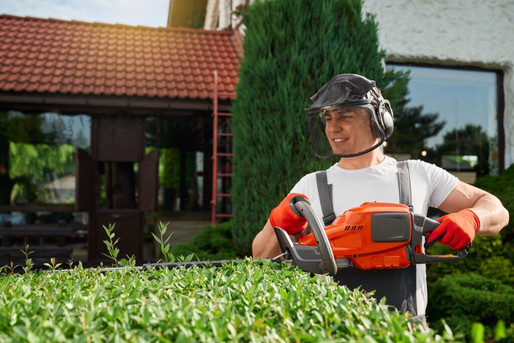 Lawn Care Services Charlotte NC