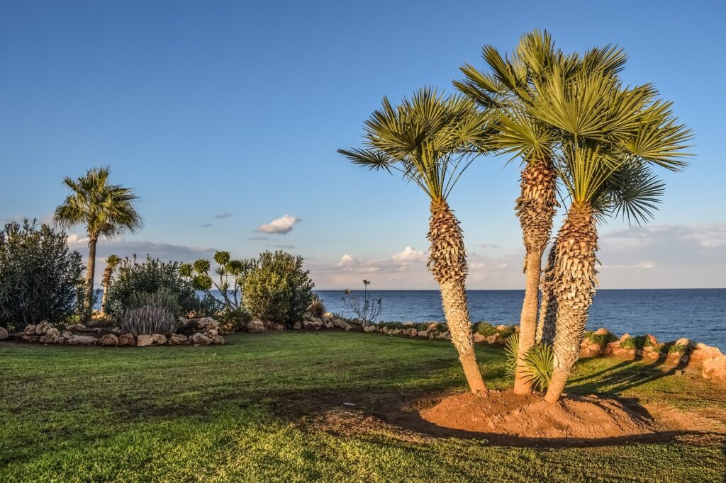 Landscaping in North Carolina